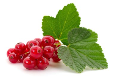 Beyaz arka planda yeşil yapraklı taze kuşüzümü, olgun sulu meyvelerin yakın çekimi, sağlıklı yaz yemeği ve doğal vitaminler..