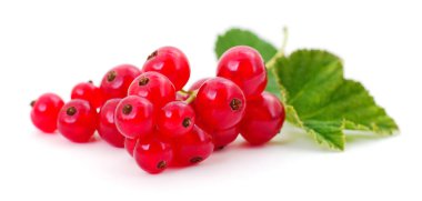 Taze, olgun kırmızı kuş üzümü (Ribes rubrum) kümesi, beyaz bir zemin üzerinde tek bir yeşil yaprak ile izole edilmiştir. Sağlıklı beslenme, yaz meyveleri ve antioksidan meyvelerini temsil eder..
