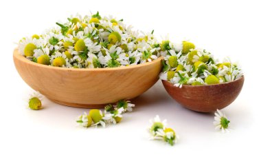 Beyaz arka planda izole edilmiş taze papatya çiçekleriyle dolu iki ahşap kasenin üst görüntüsü..