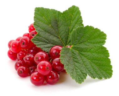 Beyaz arka planda taze yeşil yapraklı olgun kırmızı üzümler. Sağlıklı beslenme ve organik gıda tasarımı için sulu yaz meyveleri.