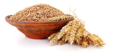 Tarım hasadının otantik fotoğrafçılığı. Bu gerçek kamera görüntüsü, beyaz zemin üzerinde izole edilmiş seramik bir çömlekteki buğday tohumlarını gösteriyor. Organik tarım ve yiyecek doğasını vurguluyor..