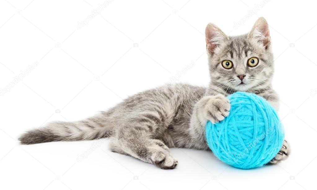 cat ball of yarn