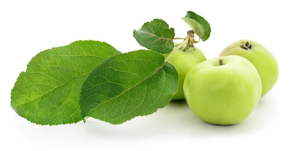 Zelená jablka s listy. — Stock fotografie