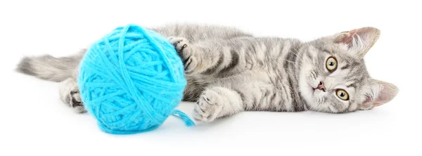 Cat with ball of yarn — Stock Photo, Image