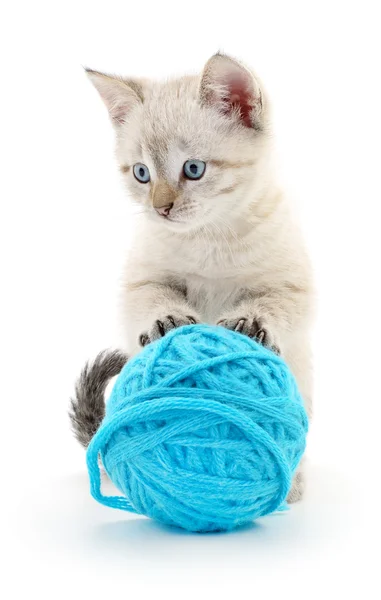 Cat with ball of yarn — Stock Photo, Image