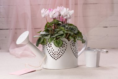 bahar çiçekleri ile natürmort