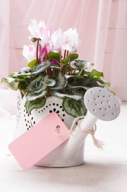  bahar çiçekleri ile tebrik kartı