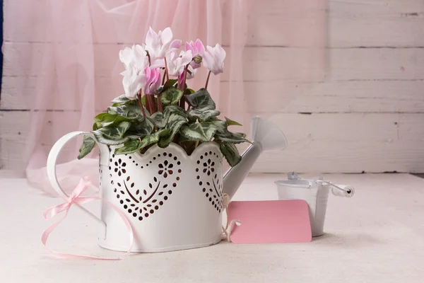 Bodegón con flores de primavera — Foto de Stock