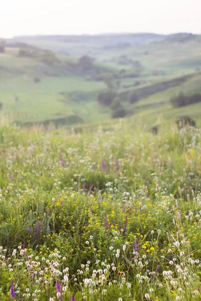 Slope of the ravine — Stock Photo, Image