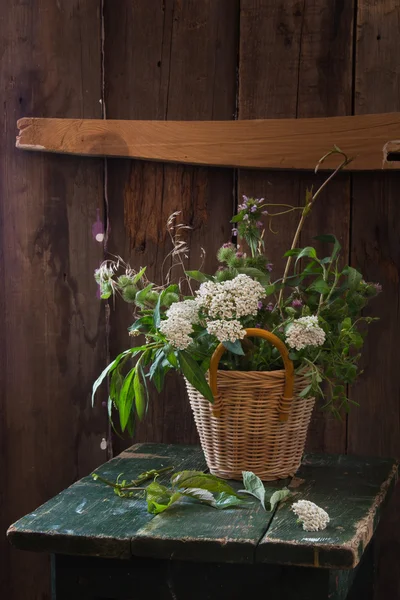 Natura morta vintage — Foto Stock