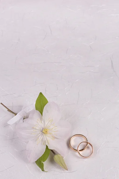 White wedding background — Stock Photo, Image