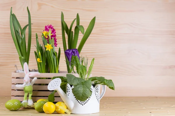 Hermoso Fondo Pascua Con Flor Fresca Primavera — Foto de Stock