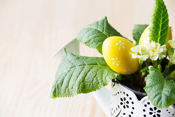 Hermoso Fondo Pascua Con Flor Fresca Primavera — Foto de Stock