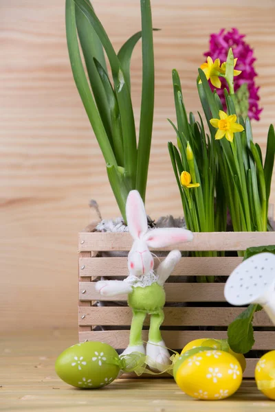 Mooie Paasachtergrond Met Frisse Lentebloem — Stockfoto