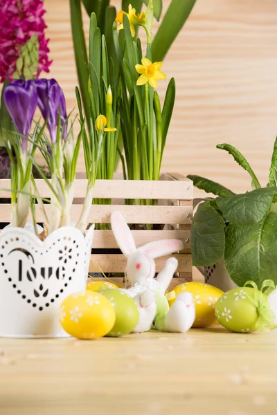 Beau Fond Pâques Avec Fleur Printemps Fraîche — Photo