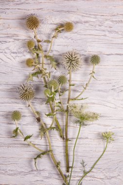 Beyaz ahşap üzerinde kır çiçekleri olan arka plan