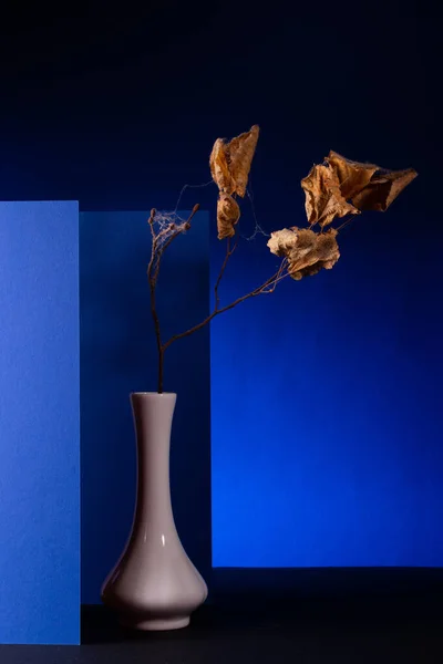 青トーンとバックライトの抽象的な背景 — ストック写真