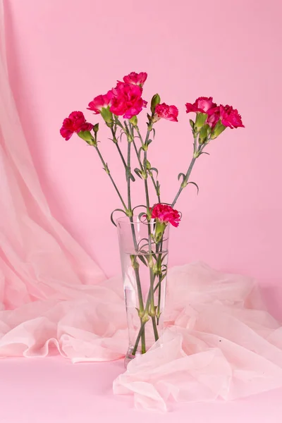 Frische Schöne Rote Nelken Glasvase Auf Rosa Hintergrund — Stockfoto