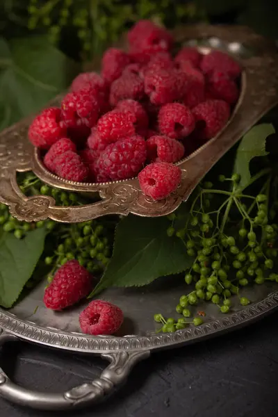 Vintage Still Life Raspberries Elderberries — Stock Photo, Image