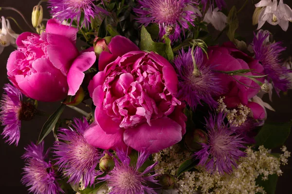 Frisse Felroze Pioenrozen Voorjaarsbloemen Voor Felicitaties — Stockfoto