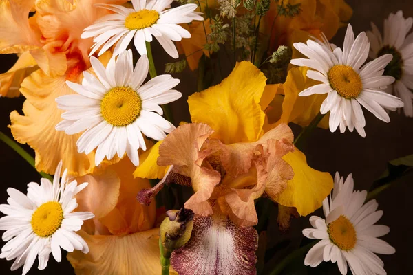 Świeże Jasnożółte Tęczówki Rumianek Wiosenne Kwiaty Gratuluję — Zdjęcie stockowe