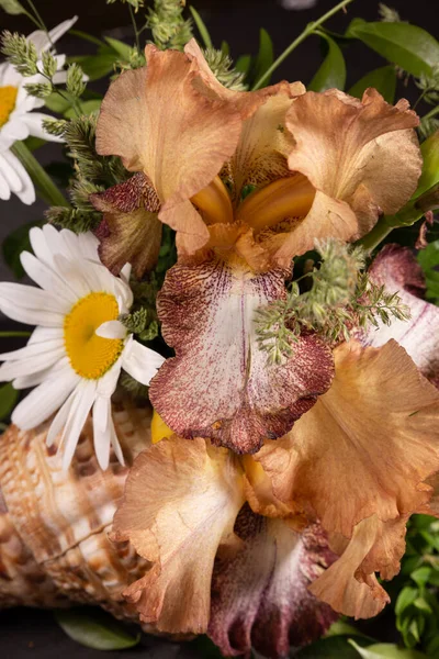 Frische Leuchtend Gelbe Schwertlilien Und Kamille Frühlingsblumen Zum Gratulieren — Stockfoto