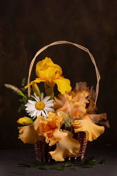 Disposizione Floreale Con Iris Gialli Margherite Bianche Abasket — Foto Stock