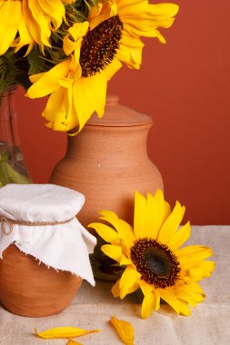 seramik sofra ile natürmort