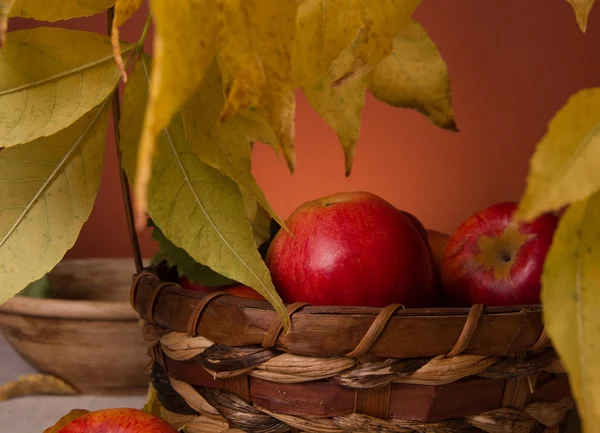 Pommes dans un panier en osier — Photo