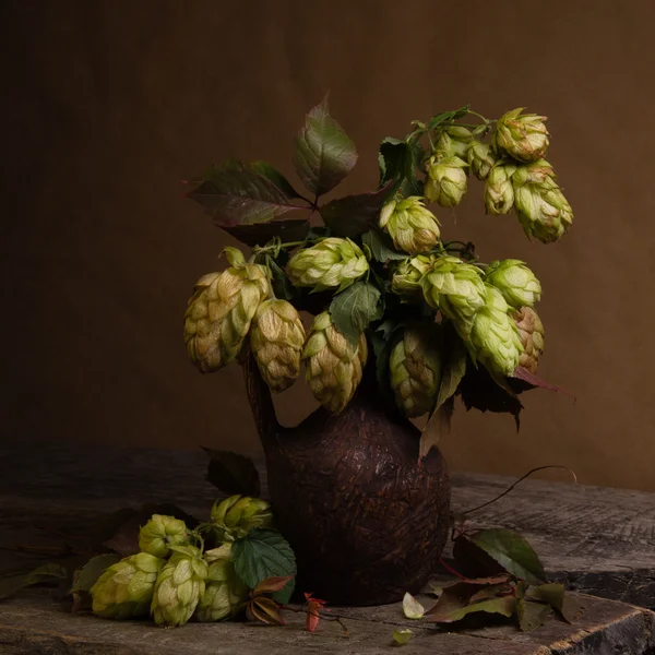 Bouquet de branches avec houblon — Photo