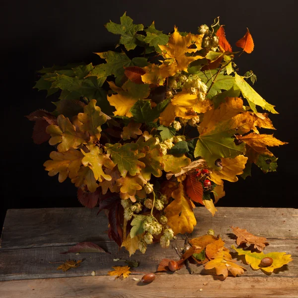 Bouquet of bright autumn leaves — Stock Photo, Image