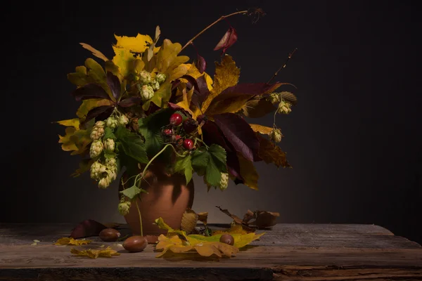 Букет з яскравого осіннього листя — стокове фото