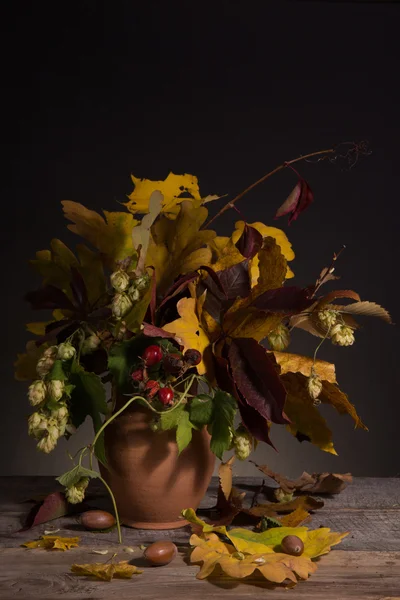 Bouquet de feuilles d'automne lumineuses — Photo