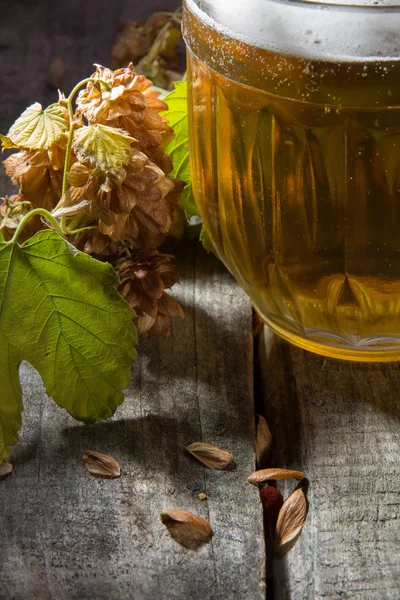 Mok van bier en tak hop — Stockfoto