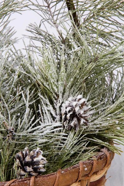 Weihnachtskonzept — Stockfoto