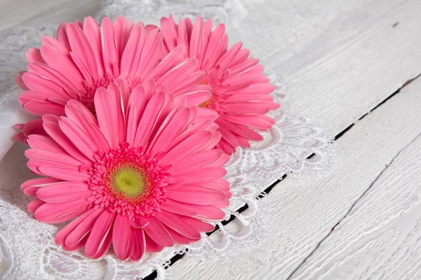 Hermosa flor de gerberas —  Fotos de Stock