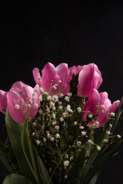 Vackra vårblommor — Stockfoto