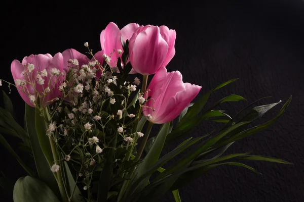 Mooie lentebloemen — Stockfoto