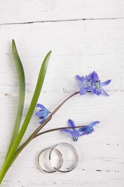 블루 snowdrops 및 결혼 반지 — 스톡 사진
