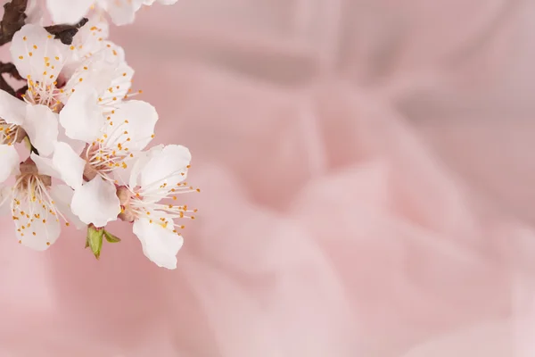 Hochzeitskonzept — Stockfoto