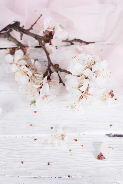 Hochzeitskonzept — Stockfoto