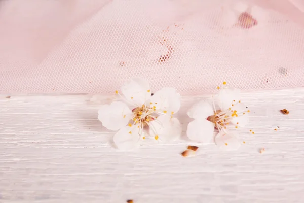 Hochzeitskonzept — Stockfoto