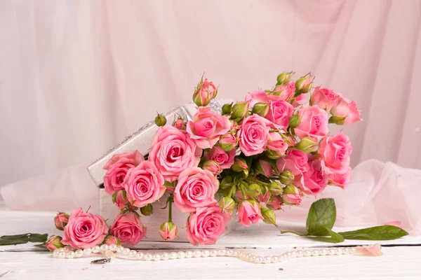 Fresh pink rose — Stock Photo, Image