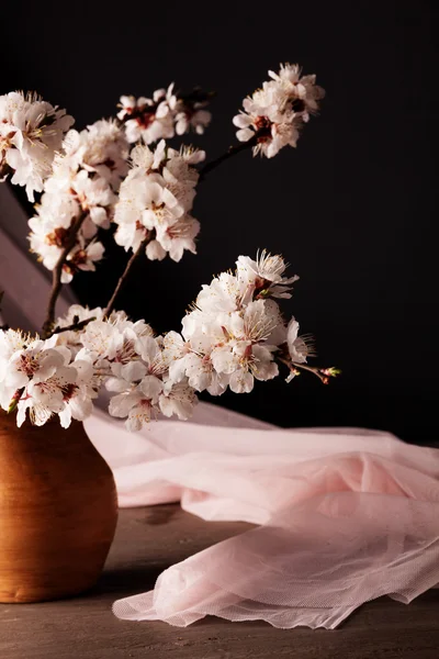 Branche de fleurs abricots — Photo