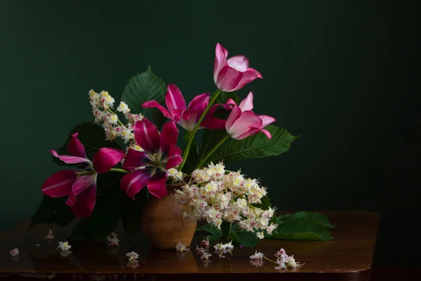 Натюльпаны — стоковое фото