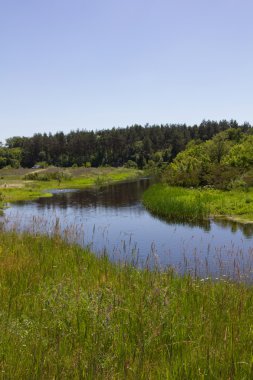 Yaz aylarında bulutlu gün