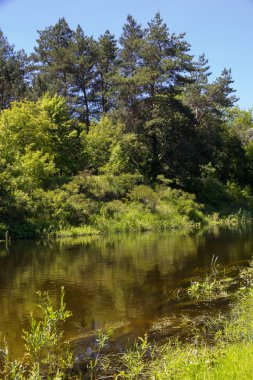 Yaz aylarında bulutlu gün