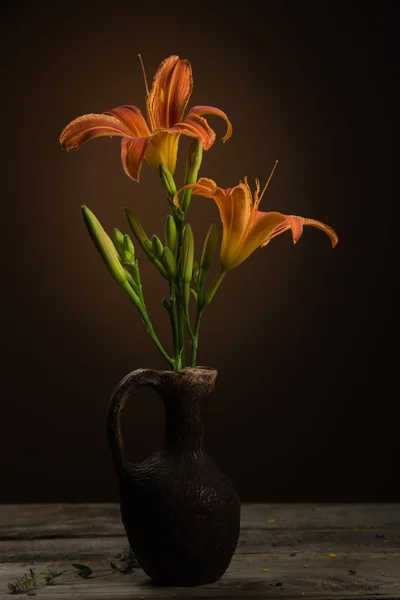 Nature morte avec Lily — Photo