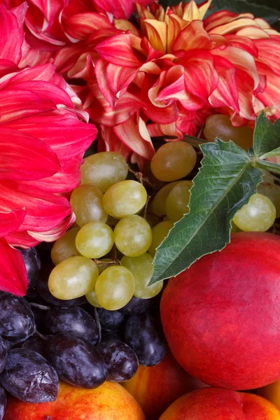 Frutta fresca e fiori colorati — Foto Stock