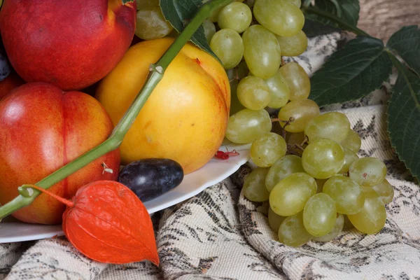 Frutta fresca — Foto Stock